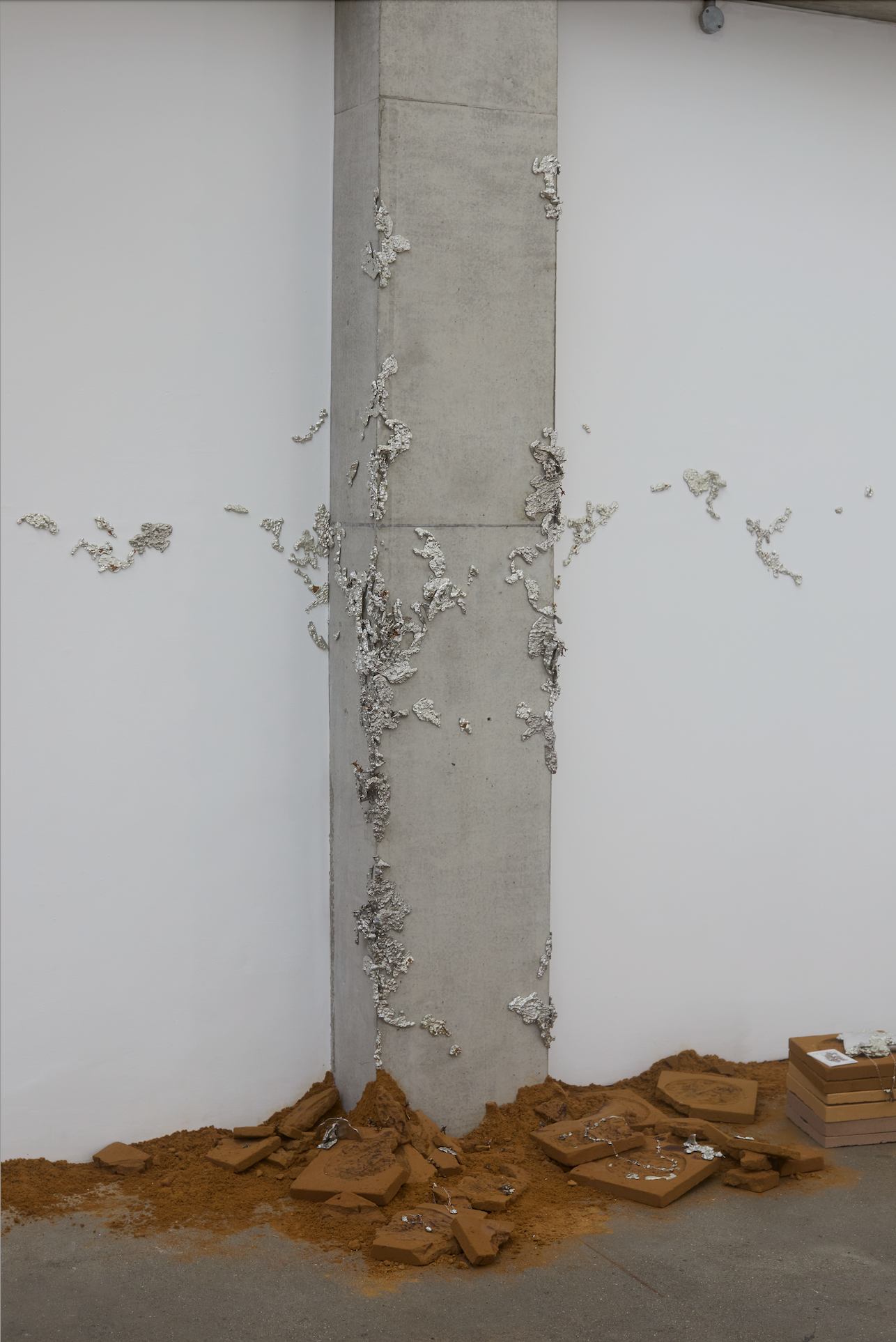 Tracing the Crevice, 2025