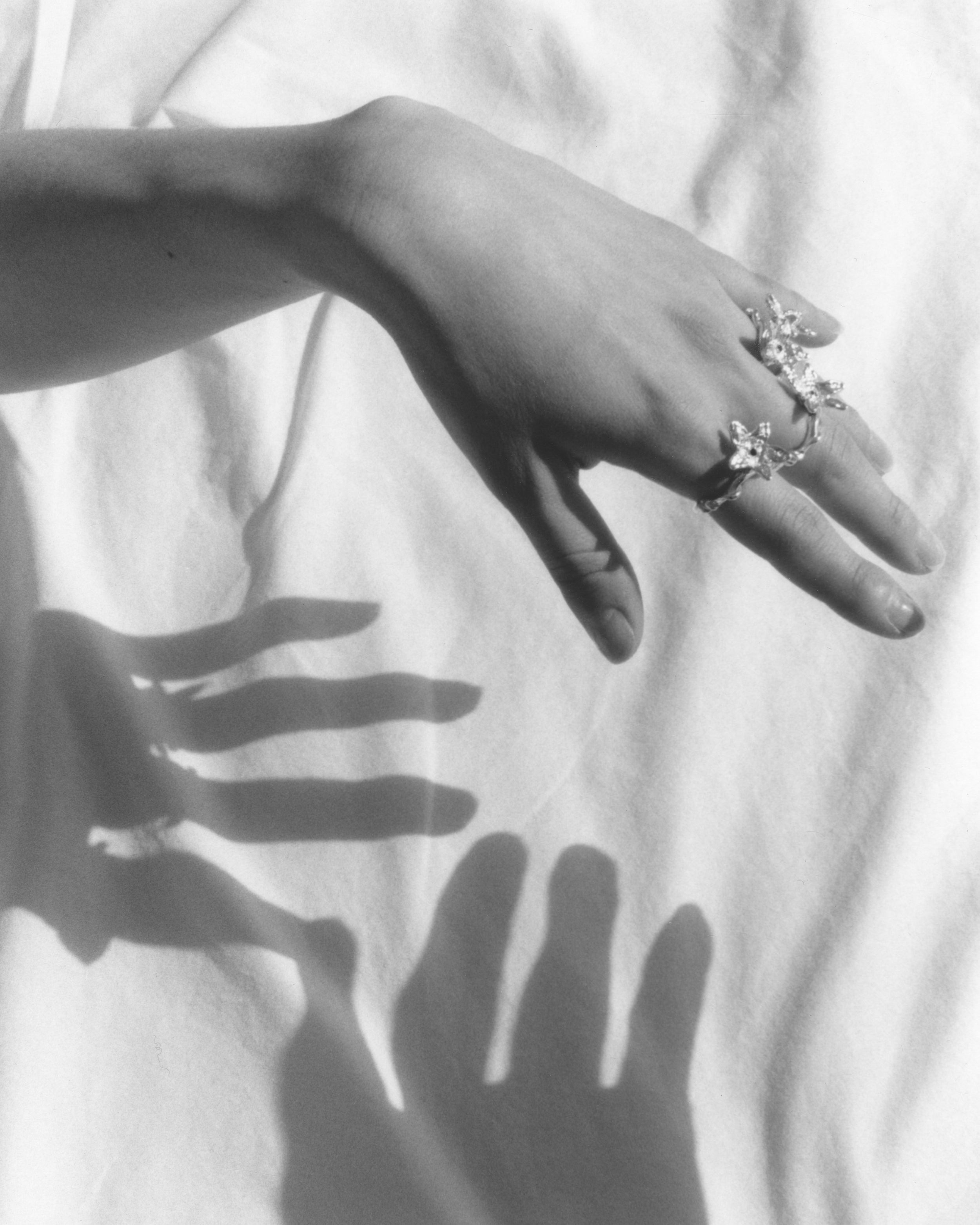 Paulownia Ring