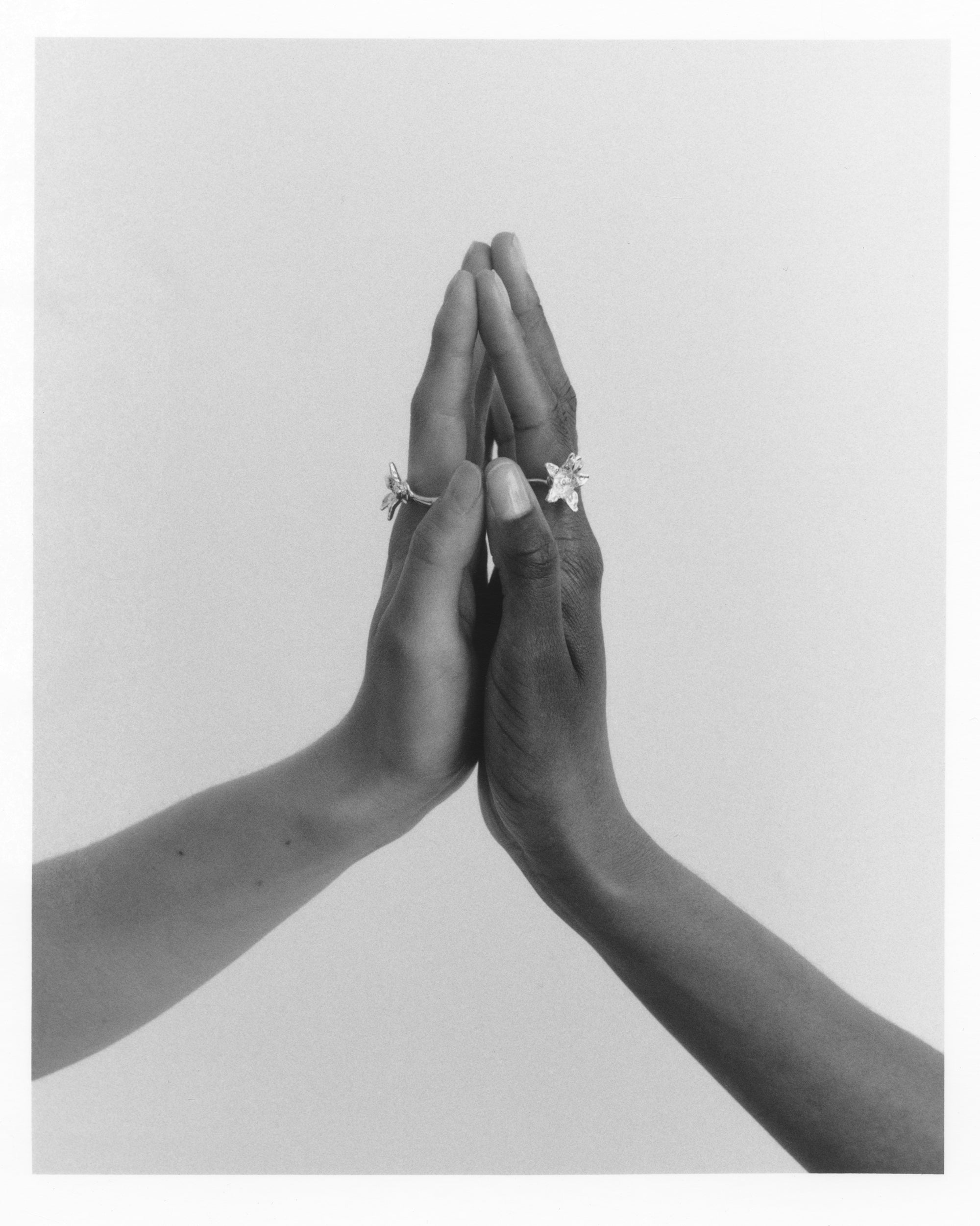 Paulownia Ring