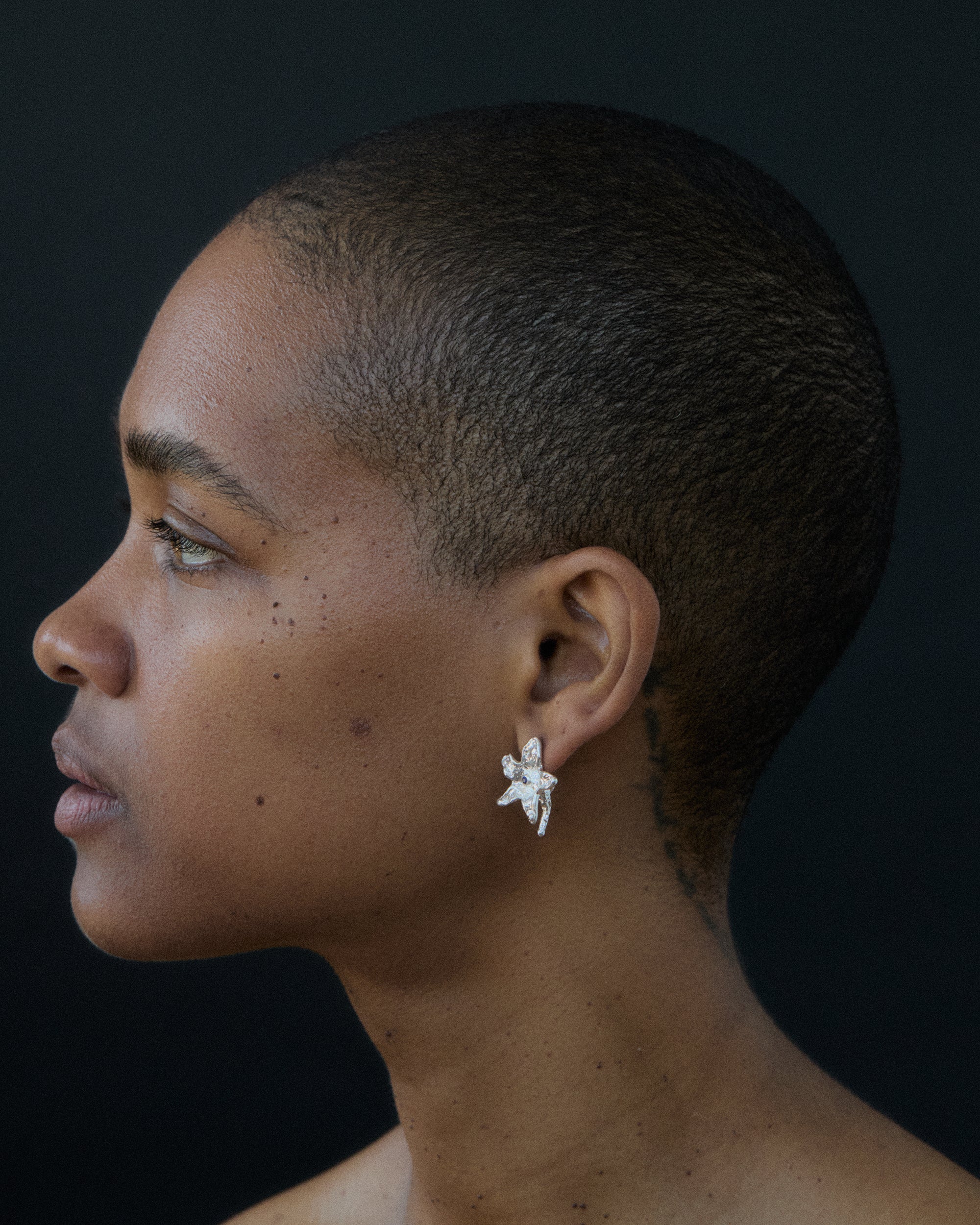Paulownia Earrings