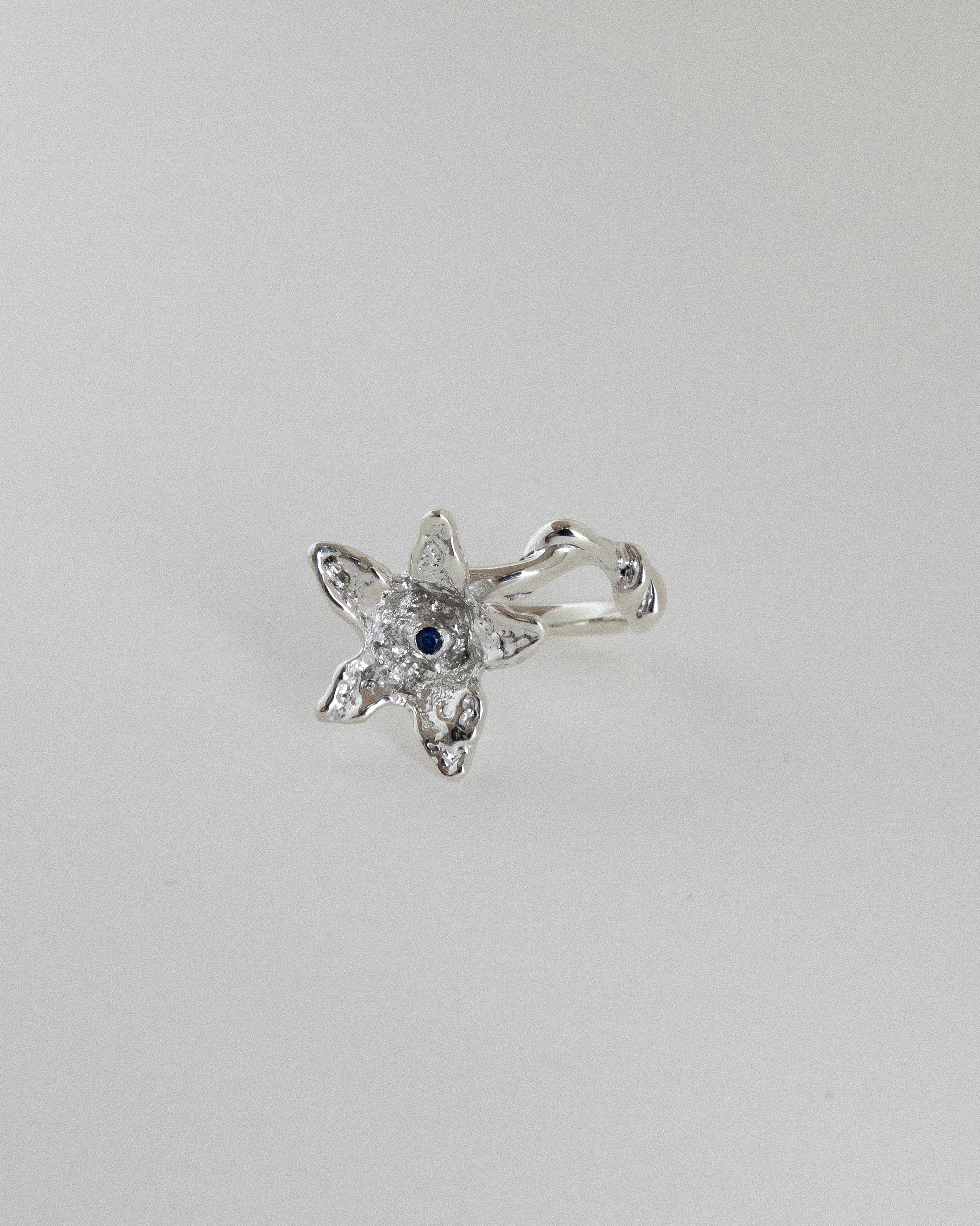 Paulownia Ring