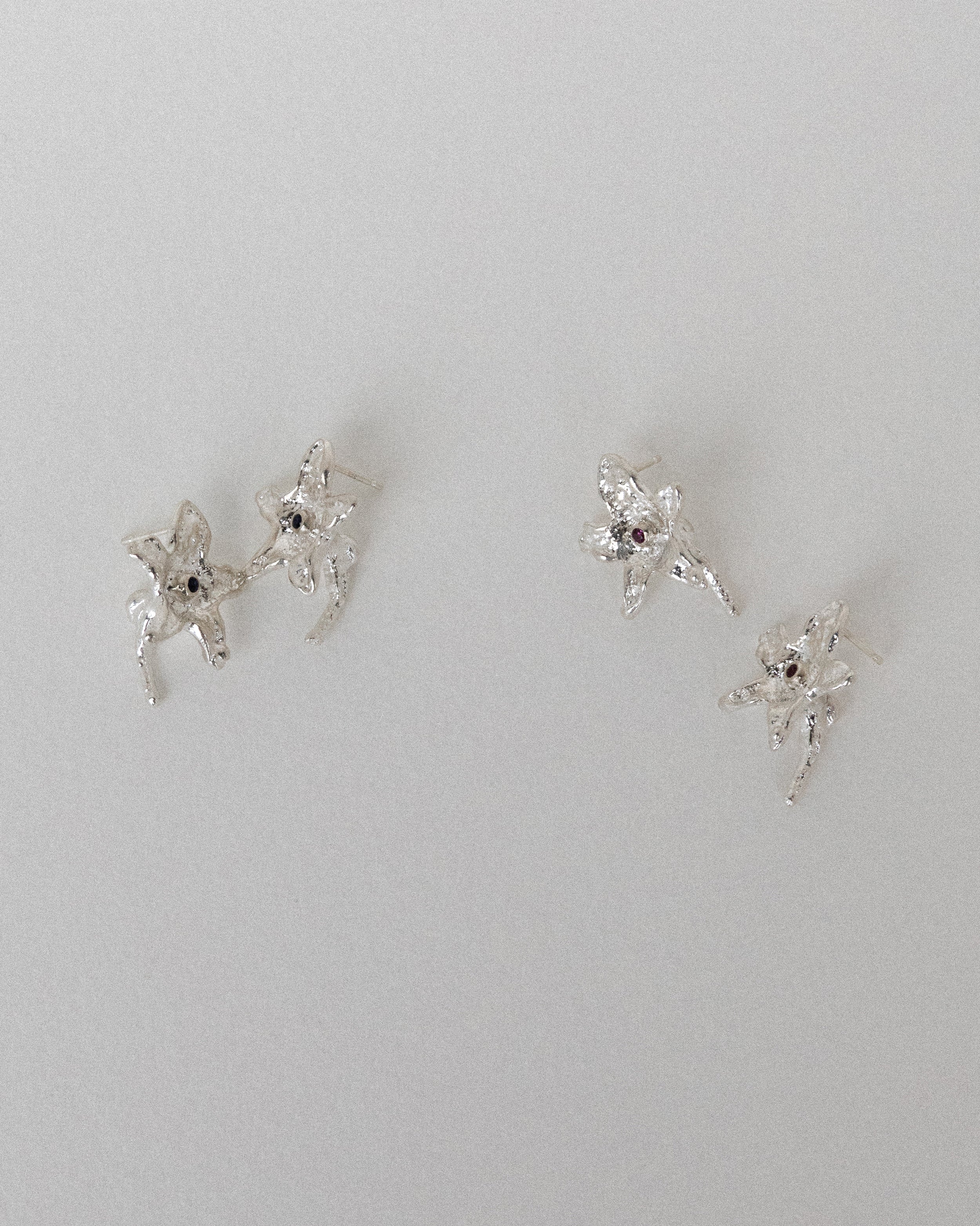 Paulownia Earrings