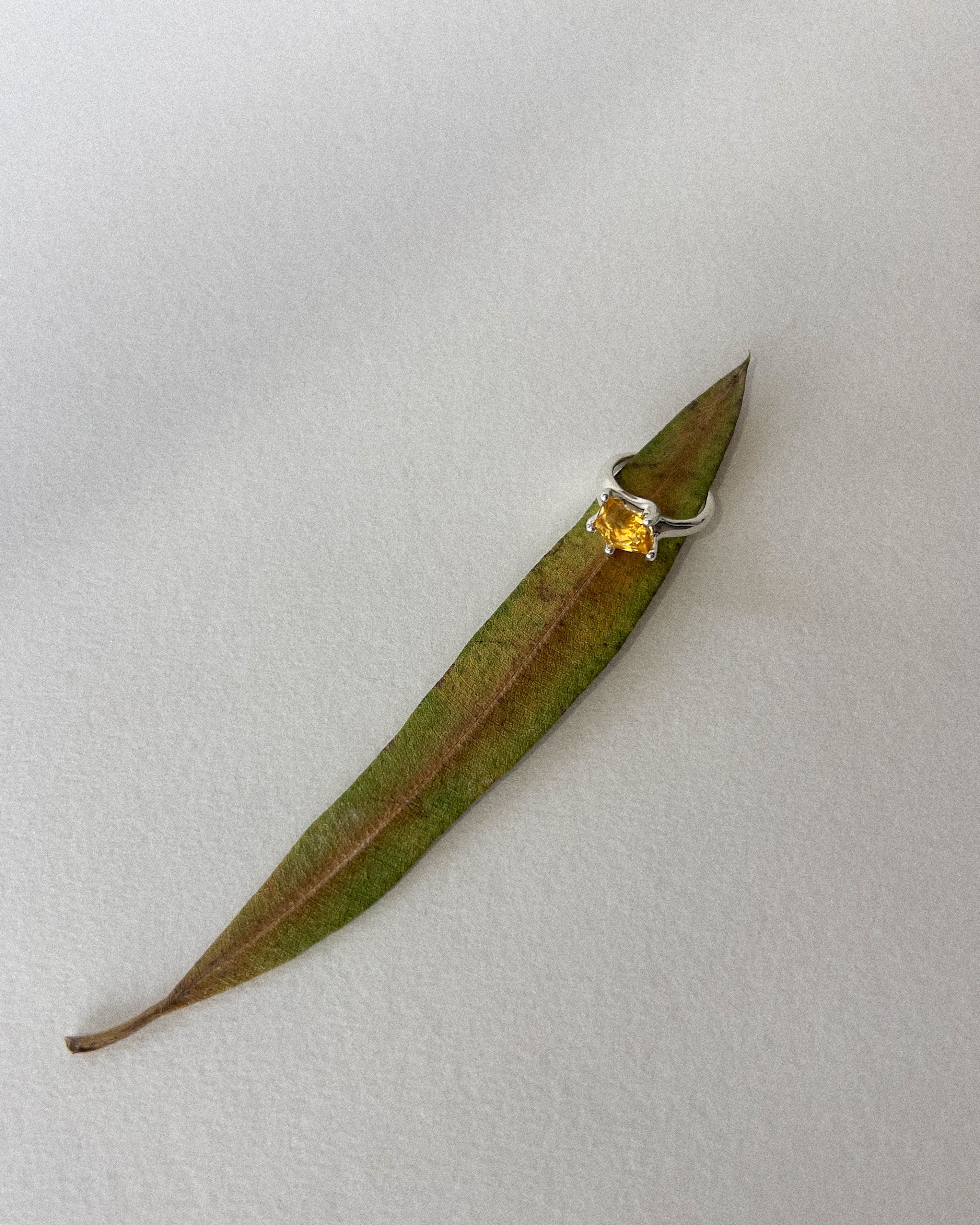 Coronet Ring