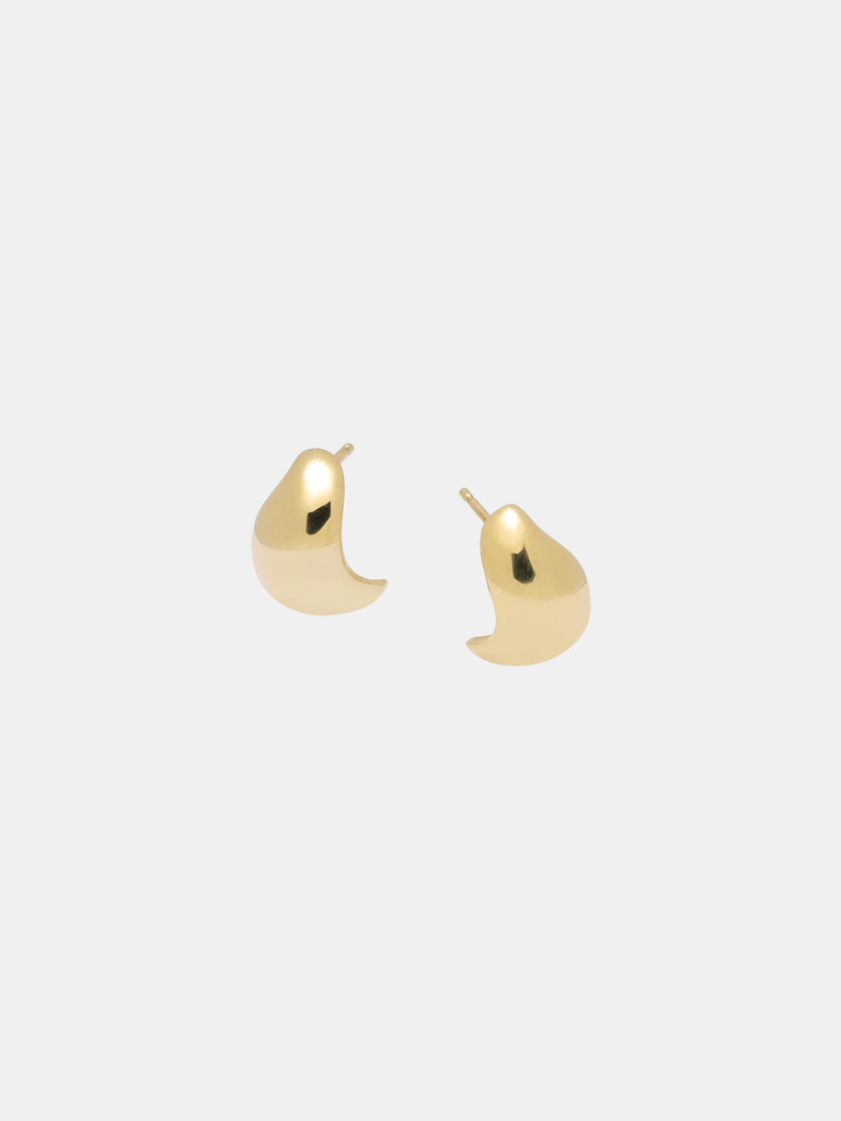 Seed Coat Earrings