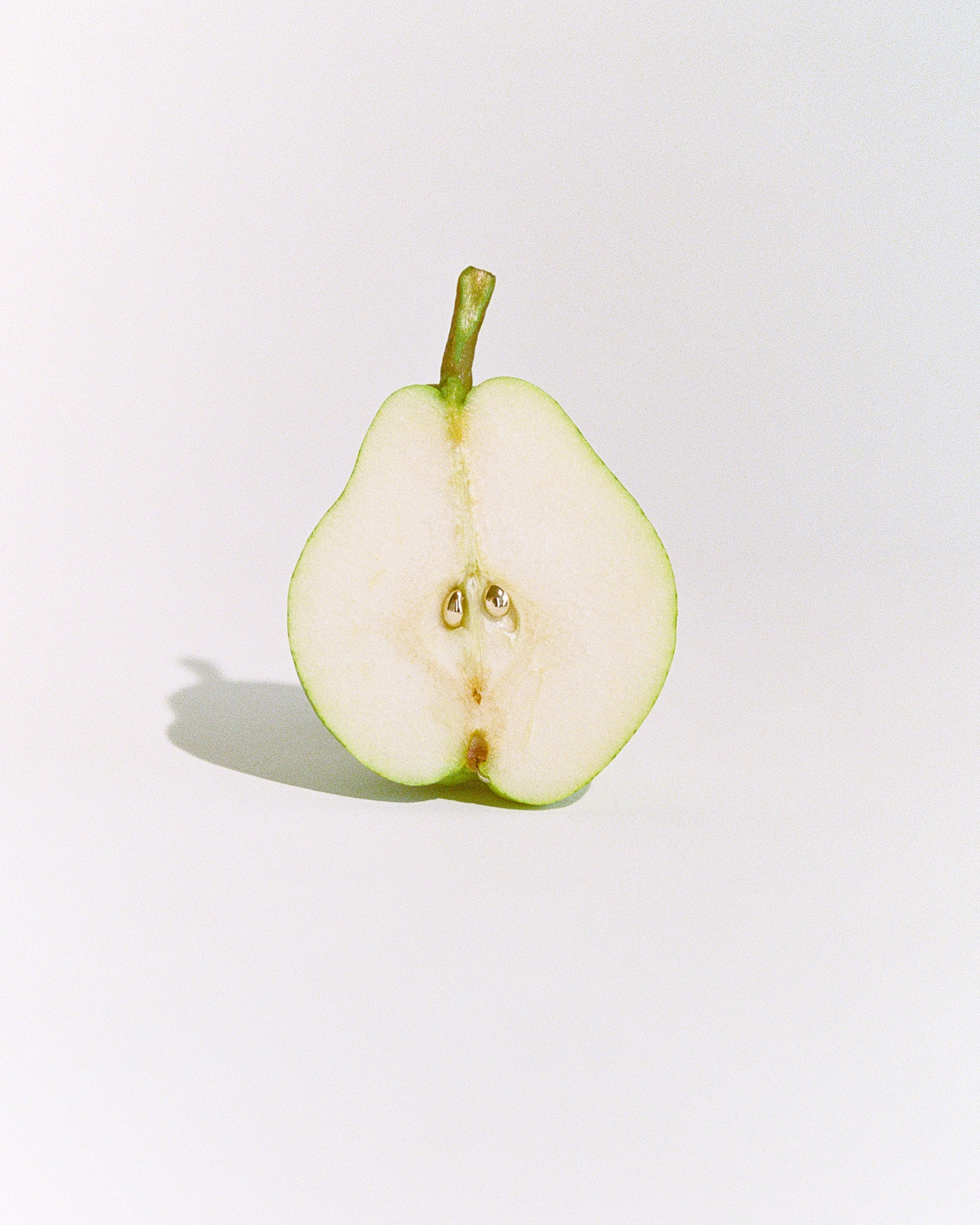 Seed Earrings
